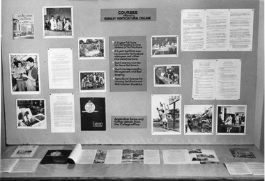 Photograph - Black and white print, Publicity Branch Victorian Department of Agriculture, Courses Offered by Burnley Horticultural College, 1960-1962