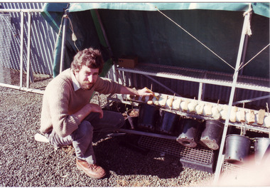 Photograph - Colour print, James (Jim) Pleasance, Ross Hall With Seed Collecting Frame, 1985