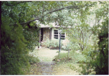 Photograph - Colour prints and negatives, James (Jim) Pleasance, Bickleigh Vale, 10 February 1990