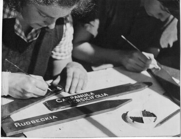 Photograph - Black and white print, Students Painting Plant Labels, c. 1950