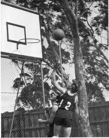 Photograph - Black and white print, Information Branch Victorian Department of Agriculture, Students Playing Basketball, c. 1969