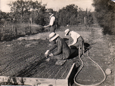 Album - Black and white and sepia prints, Noelle Kendall (Vaughan), Noelle Kendall's (nee Vaughan) Photograph Album, 1916-1918
