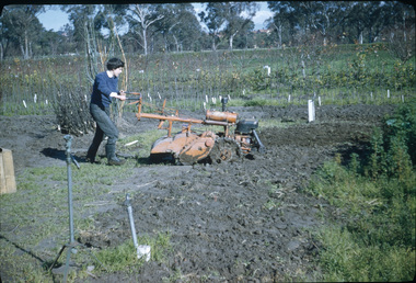 Album - Colour 35mm slides, James (Jim) Pleasance, Miscellaneous Burnley Views, 1975-1988