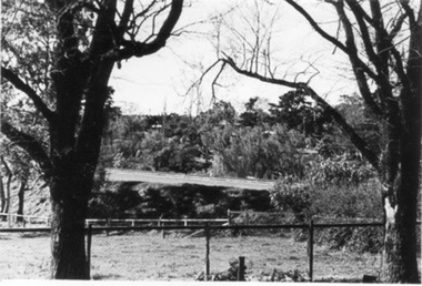 Photograph - Black and white print, E.M. Gibson, Yarra Boulevard, Burnley, September 1942
