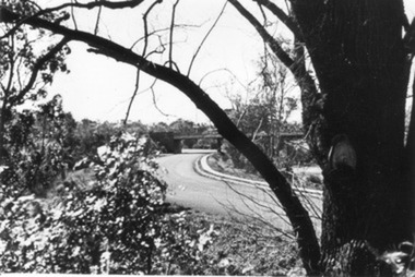 Photograph - Black and white print, E.M. Gibson, Yarra Boulevard, September 1942