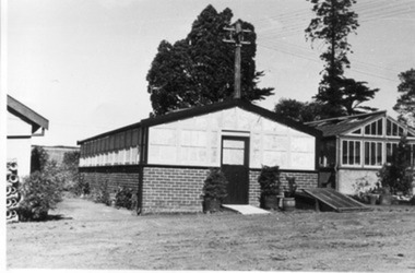 Photograph - Black and white print, E.M. Gibson, Greenhouses in the Old Nursery, September 1942