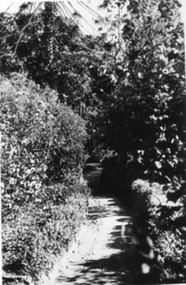 Photograph - Black and white print, E.M. Gibson, Lover's Walk, September 1942