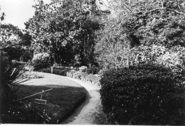 Photograph - Black and white print, E.M. Gibson, Path to Principal's Residence, September 1942