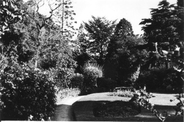 Photograph - Black and white print, E.M. Gibson, Garden View Looking Towards the Shady Garden, September 1942