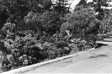Photograph - Black and white print, E.M. Gibson, Hilda Kirkhope Rockery, September 1942