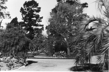 Photograph - Black and white print, E.M. Gibson, Garden View, September 1942