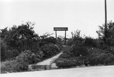 Photograph - Black and white print, E.M. Gibson, Entrance to the Agrostology Branch Pasture Plant Research Field, March 1943