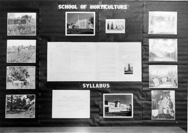 Photograph - Black and white print, School of Horticulture Syllabus Display, 1947