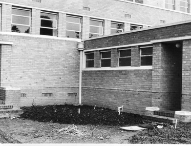 Photograph - Black and white print, E.M. Gibson, New Planting in Front of the Administration Building, 1947