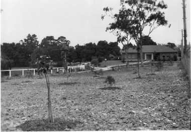 Photograph - Black and white print, E.M. Gibson, Plant Research Institute/Laboratory, 1947