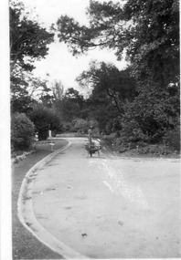Photograph - Black and white print, E.M. Gibson, Student Working in the Ornamental Garden, January 1947