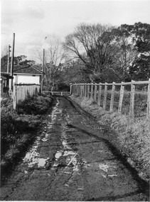 Photograph - Black and white print, E.M. Gibson, Access Road to P.R.L., Pasture Branch, etc, 1948