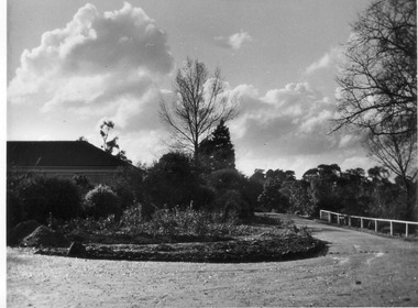 Photograph - Black and white print, E.M. Gibson, Plant Research Institute/Laboratory, 1948