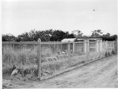 Photograph - Black and white print, E.M. Gibson, Horticultural Enclosure, 1951