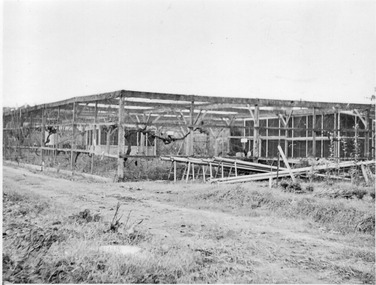 Photograph - Black and white print, E.M. Gibson, Bird Proof Cage in Orchard, 1951