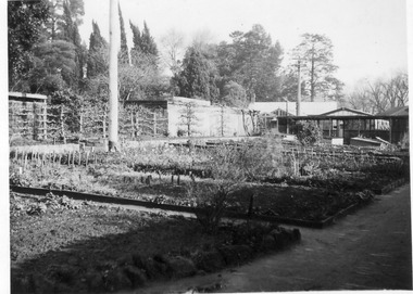 Photograph - Black and white print, E.M. Gibson, Nursery, July 1947