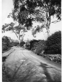 Photograph - Black and white print, Main Entrance Driveway, July 1947