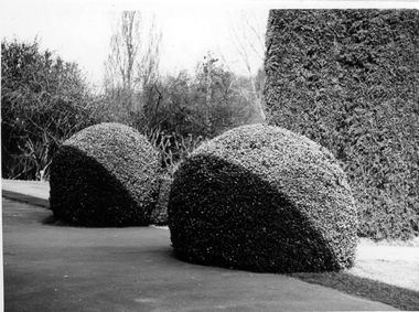 Photograph - Black and white print, E.M. Gibson, 1947