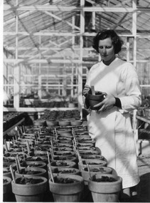 Photograph - Black and white print, E.M. Gibson, Elspeth Newman, 1947
