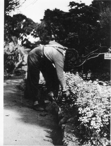 Photograph - Black and white print, E.M. Gibson, Student Working Outside, 1950-1951