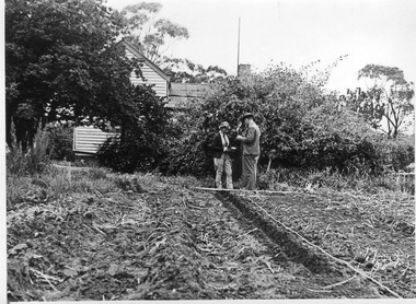 Photograph - Black and white print, E.M. Gibson, Student and Staff member, Late 1940s