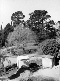 Photograph - Black and white print, E.M. Gibson, View From Roof of New School Building, Early September 1947