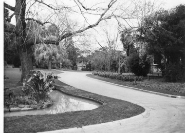 Photograph - Black and white print, Garden View, Early September 1947
