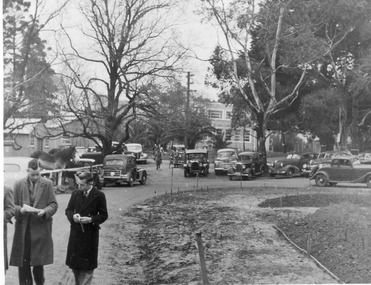 Photograph - Black and white print, E.M. Gibson, Pruning Day 1948, 3 July 1948