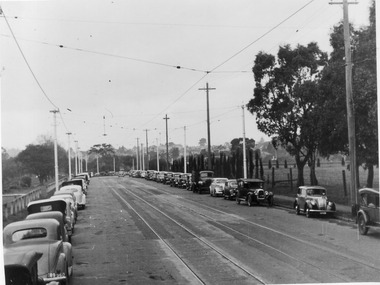 Photograph - Black and white print, E.M. Gibson, Pruning Day 1948, 3 July 1948