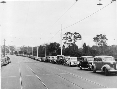 Photograph - Black and white print, E.M. Gibson, Pruning DAY 1948, 3 July 1948