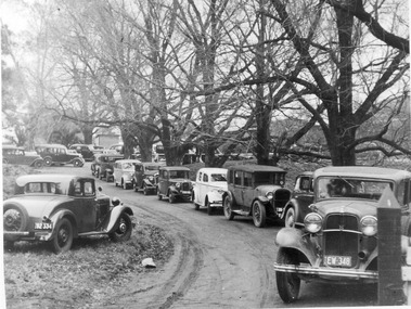 Photograph - Black and white print, E.M. Gibson, Pruning Day 1948, 3 July 1948