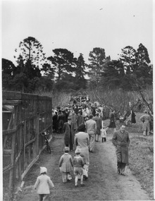 Photograph - Black and white print, E.M. Gibson, Pruning Day 1948, 3 July 1948