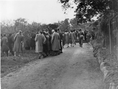 Photograph - Black and white print, E.M. Gibson, Pruning Day 1948, 3 July 1948
