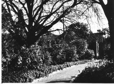 Photograph - Black and white print, E.M. Gibson, View of East Side of Administration Building, 18 July 1948