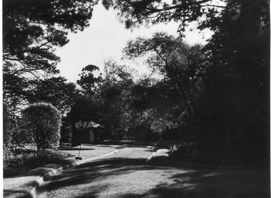 Photograph - Black and white print, E.M. Gibson, Garden View, 18 July 1948