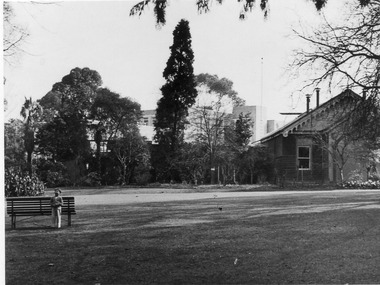 Photograph - Black and white print, E.M. Gibson, Construction of Administration Building, 18 July 1948