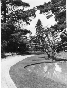 Photograph - Black and white print, E.M. Gibson, Luffmann/Lily Ponds, Late September 1947