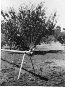 Photograph - Black and white print, E.M. Gibson, Webb Way Irrigation System, February 1947