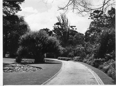 Photograph - Black and white print, E.M. Gibson, Luffmann/Lily Ponds, Late 1940s