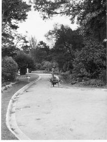 Photograph - Black and white print, E.M. Gibson, Garden View, Early January 1947
