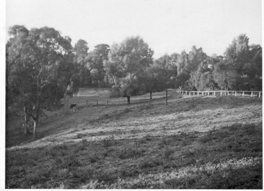 Photograph - Black and white print, E.M. Gibson, Lagoon Paddock, Autumn 1947