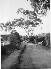 Photograph - Black and white print, E.M. Gibson, Entrance Roadway, Autumn 1947