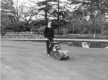 Photograph - Black and white print, E.M. Gibson, Student Using Mower, c. 1949