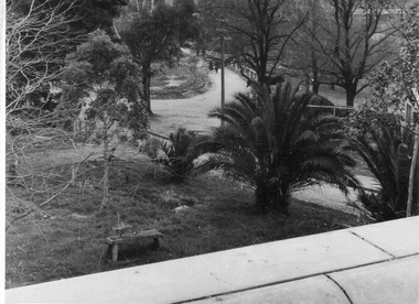 Photograph - Black and white print, E.M. Gibson, View of Entrance Road From the Roof of the Administration Building, C.1948