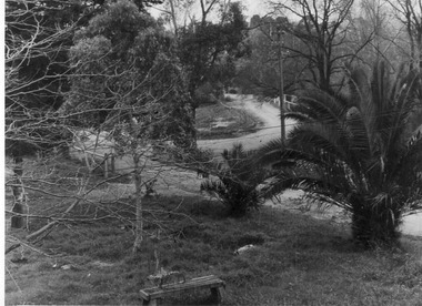Photograph - Black and white print, E.M. Gibson, View North From Roof of Administration Building, C. 1948